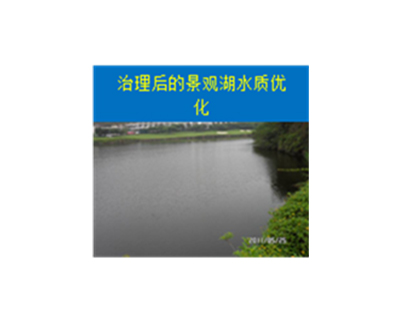 河道