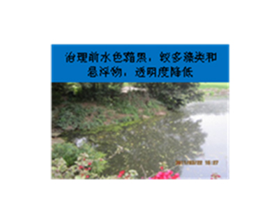 河道