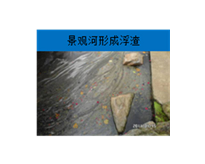 河道