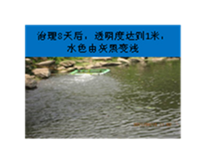 河道